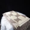 Gucci X Balenciaga Muffler 頸巾